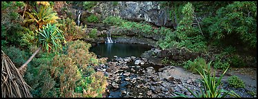 Tropical pools, waterfalls, and vegetation. Haleakala National Park, Hawaii, USA.