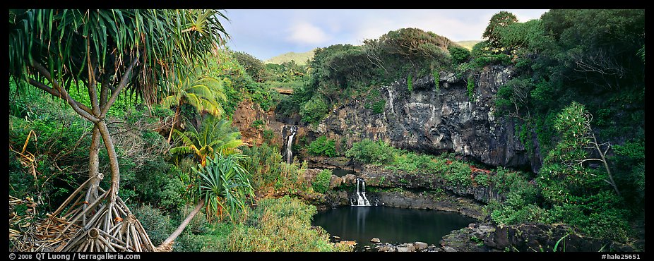 Tropical landscape with pools and waterfalls. Haleakala National Park (color)