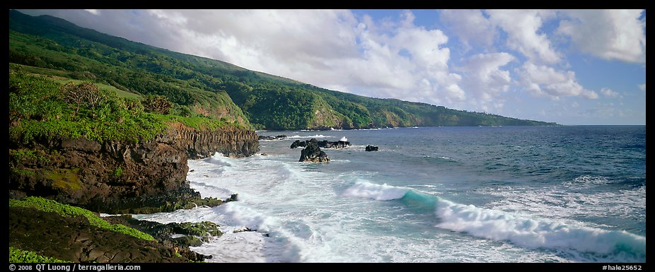 Coastline with volcanic cliffs and strong surf. Haleakala National Park (color)