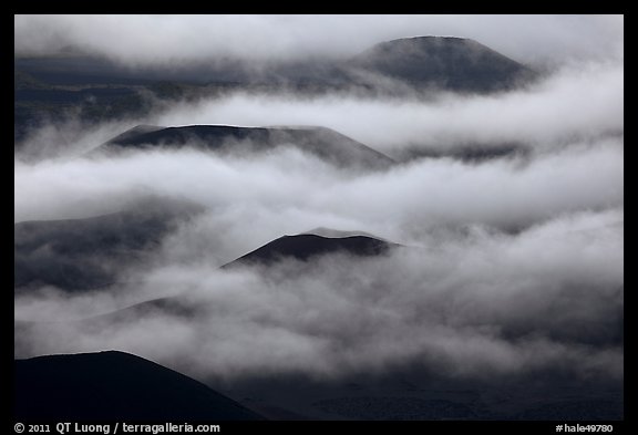 Cinder cones emerging from clouds. Haleakala National Park (color)