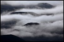 Cinder cones emerging from clouds. Haleakala National Park, Hawaii, USA.