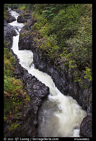 Pipiwai Stream in Oheo Gulch. Haleakala National Park (color)