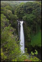 Makahiku Falls. Haleakala National Park, Hawaii, USA.