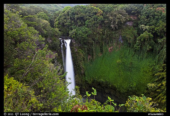 Makahiku falls plunging off a lush, green cliff. Haleakala National Park, Hawaii, USA.