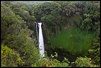 Makahiku falls plunging off a lush, green cliff. Haleakala National Park, Hawaii, USA.