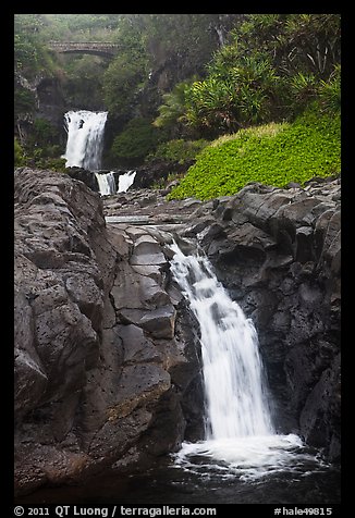 Waterfalls and bridge,  Seven Sacred Pools, Kipaluhu. Haleakala National Park, Hawaii, USA.