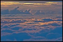 Sea of clouds at sunset. Haleakala National Park, Hawaii, USA.