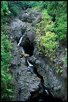 Gorge carved by Ohe o stream. Haleakala National Park, Hawaii, USA. (color)