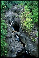 Gorge carved by Ohe o stream. Haleakala National Park, Hawaii, USA.