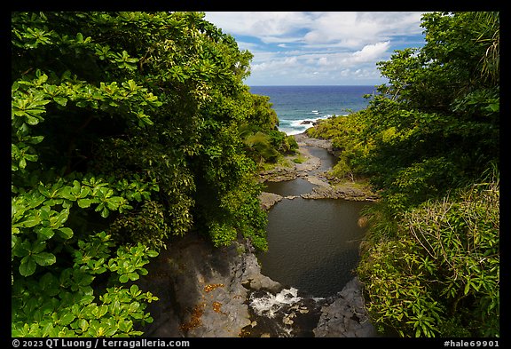 Oheo Gulch and Pacific Ocean,. Haleakala National Park (color)