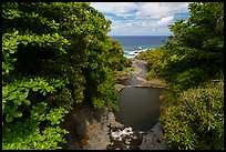 Oheo Gulch and Pacific Ocean,. Haleakala National Park ( color)