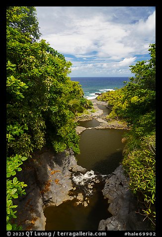 Kipahulu pools and Pacific Ocean,. Haleakala National Park (color)