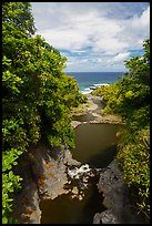 Kipahulu pools and Pacific Ocean,. Haleakala National Park ( color)