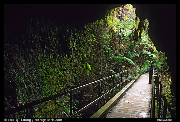 Thurston lava tube seen from inside. Hawaii Volcanoes National Park, Hawaii, USA.