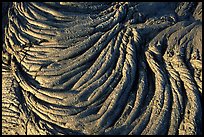 Rope-like hardened pahoehoe lava. Hawaii Volcanoes National Park, Hawaii, USA. (color)