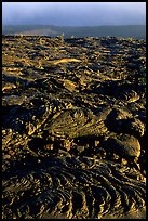 Hardened lava flow and Kaena Point. Hawaii Volcanoes National Park, Hawaii, USA.