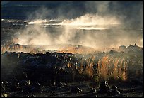 Fumeroles and lava near Halemaumau. Hawaii Volcanoes National Park, Hawaii, USA. (color)