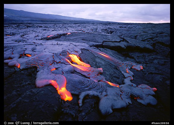 Molten lava flow near Chain of Craters Road. Hawaii Volcanoes National Park, Hawaii, USA.