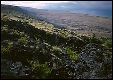 Black lava and  coastal plain from Hilana Pali. Hawaii Volcanoes National Park ( color)