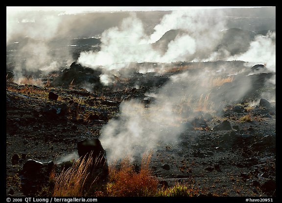 Fumeroles on the rim of Halemaumau crater. Hawaii Volcanoes National Park (color)