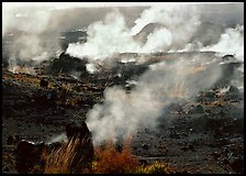 Fumeroles on the rim of Halemaumau crater. Hawaii Volcanoes National Park, Hawaii, USA. (color)