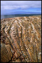 Recent lava crust on Mauna Ulu crater. Hawaii Volcanoes National Park ( color)