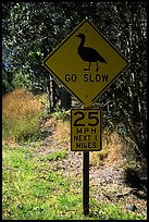 Road sign showing the nene (Hawaiian goose). Hawaii Volcanoes National Park, Hawaii, USA.