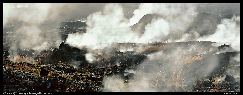 Fumeroles. Hawaii Volcanoes National Park (color)