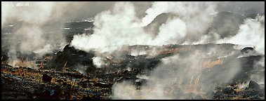 Fumeroles. Hawaii Volcanoes National Park (Panoramic color)