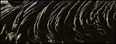 Hardened rope lava riples. Hawaii Volcanoes National Park (Panoramic color)