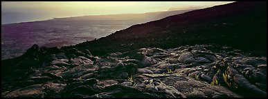 Hardened lava flow overlooking coastal plain, late afternoon. Hawaii Volcanoes National Park (Panoramic color)