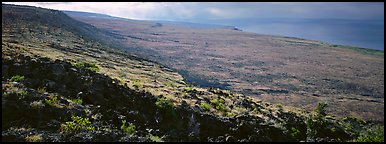 Volcanic landscape with lava rocks. Hawaii Volcanoes National Park (Panoramic color)