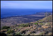 View of the coastal plain from Hilana Pali. Hawaii Volcanoes National Park, Hawaii, USA.