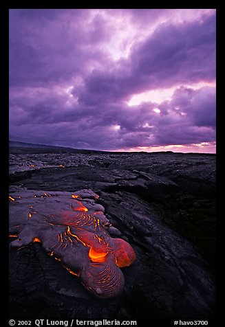 Live lava glows at dawn on coastal plain. Hawaii Volcanoes National Park, Hawaii, USA.