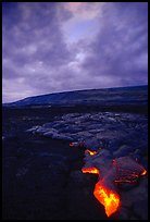 Molten Lava glows at dawn. Hawaii Volcanoes National Park, Hawaii, USA.