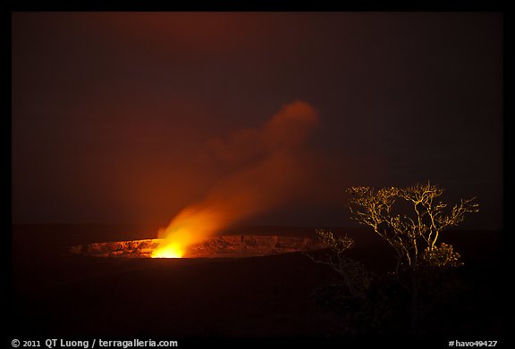 Halemaumau crater vent and Ohia tree by night. Hawaii Volcanoes National Park, Hawaii, USA.