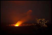 Halemaumau crater vent and Ohia tree by night. Hawaii Volcanoes National Park ( color)