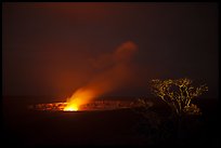 Halemaumau crater vent and Ohia tree by night. Hawaii Volcanoes National Park, Hawaii, USA. (color)