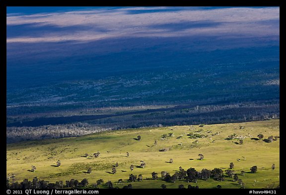 Mauna Loa flanks. Hawaii Volcanoes National Park (color)