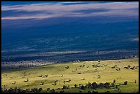 Mauna Loa flanks. Hawaii Volcanoes National Park ( color)