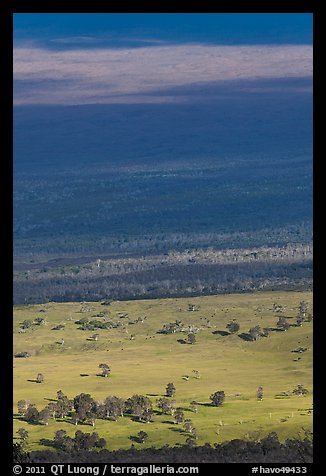 Alternance of vegetated and baren slopes on Mauna Loa. Hawaii Volcanoes National Park (color)