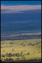 Alternance of vegetated and baren slopes on Mauna Loa. Hawaii Volcanoes National Park ( color)