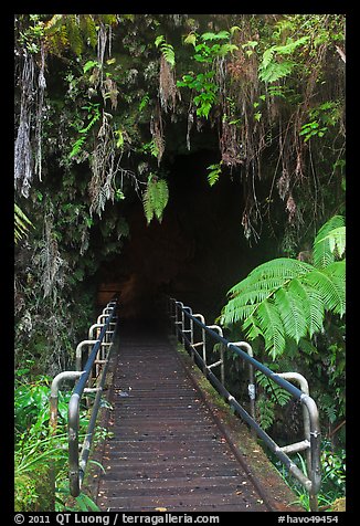Boardwalk and entrance of Thurston lava tube. Hawaii Volcanoes National Park, Hawaii, USA.