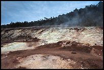 Sulphur deposits and vents (Haakulamanu). Hawaii Volcanoes National Park, Hawaii, USA.