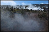 Steam vents. Hawaii Volcanoes National Park, Hawaii, USA.