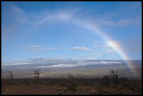 Rainbow and Mauna Loa. Hawaii Volcanoes National Park, Hawaii, USA. (color)