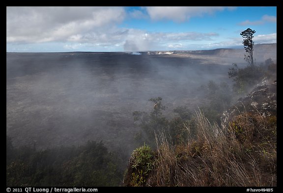 Steam from vents at the edge of Kilauea caldera. Hawaii Volcanoes National Park (color)