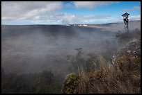 Steam from vents at the edge of Kilauea caldera. Hawaii Volcanoes National Park, Hawaii, USA. (color)