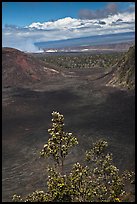 Kilauea Iki Crater, Halemaumau plume, and Mauma Loa. Hawaii Volcanoes National Park, Hawaii, USA.