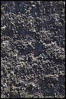 Crater vertical walls. Hawaii Volcanoes National Park, Hawaii, USA. (color)